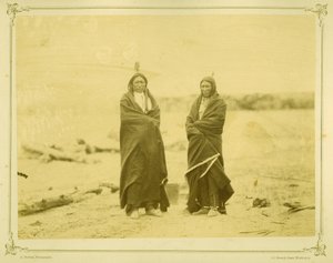 Spotted Tail and Fast Bear, 1868 (albumtrykk)